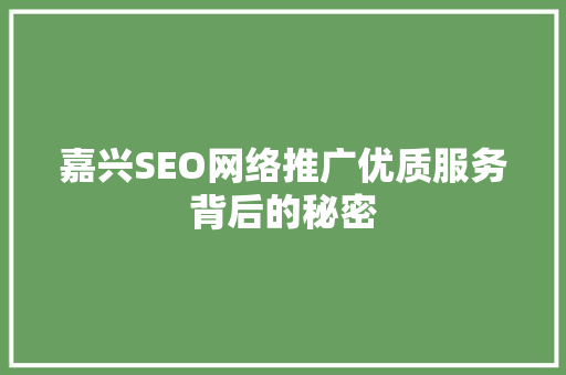 嘉兴SEO网络推广优质服务背后的秘密