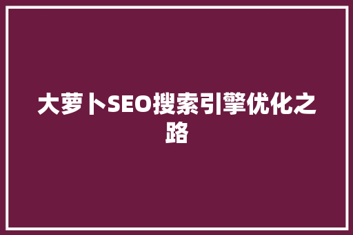 大萝卜SEO搜索引擎优化之路