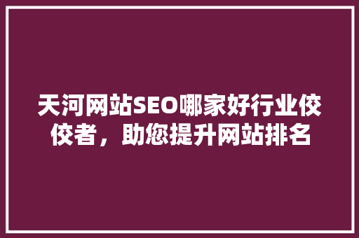 天河网站SEO哪家好行业佼佼者，助您提升网站排名