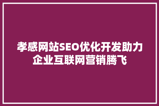 孝感网站SEO优化开发助力企业互联网营销腾飞