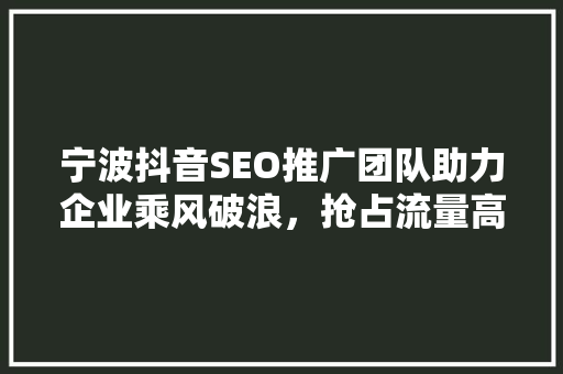 宁波抖音SEO推广团队助力企业乘风破浪，抢占流量高地