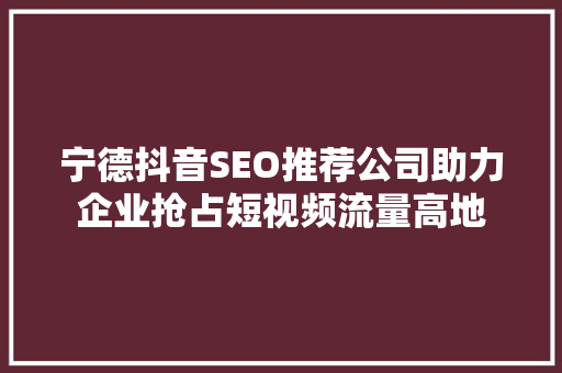 宁德抖音SEO推荐公司助力企业抢占短视频流量高地