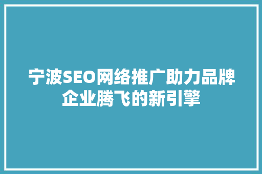 宁波SEO网络推广助力品牌企业腾飞的新引擎