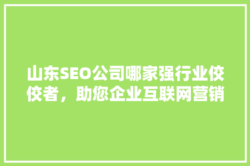 山东SEO公司哪家强行业佼佼者，助您企业互联网营销腾飞