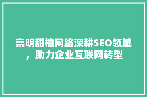 崇明甜柚网络深耕SEO领域，助力企业互联网转型