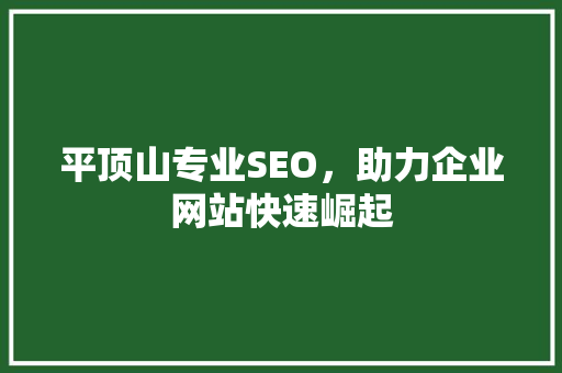 平顶山专业SEO，助力企业网站快速崛起