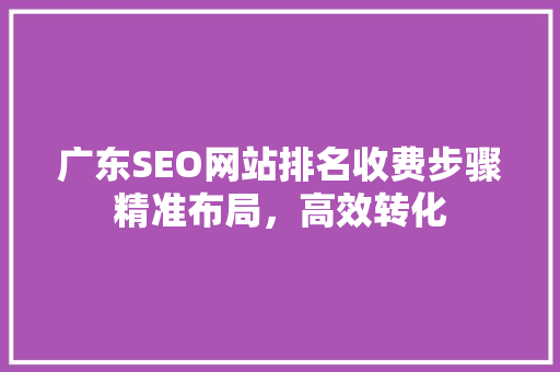 广东SEO网站排名收费步骤精准布局，高效转化