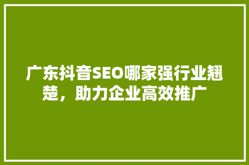 广东抖音SEO哪家强行业翘楚，助力企业高效推广