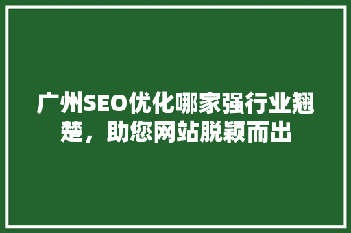 广州SEO优化哪家强行业翘楚，助您网站脱颖而出