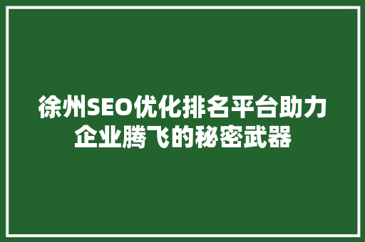 徐州SEO优化排名平台助力企业腾飞的秘密武器