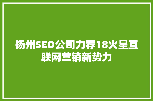 扬州SEO公司力荐18火星互联网营销新势力