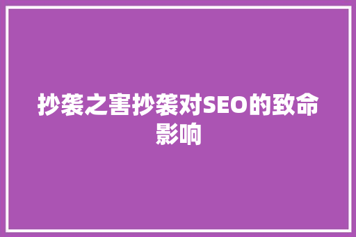 抄袭之害抄袭对SEO的致命影响