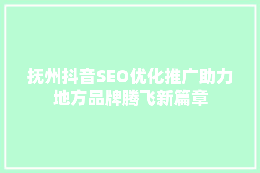 抚州抖音SEO优化推广助力地方品牌腾飞新篇章
