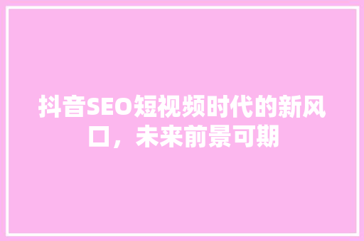 抖音SEO短视频时代的新风口，未来前景可期