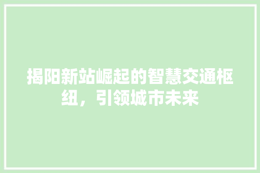 揭阳新站崛起的智慧交通枢纽，引领城市未来