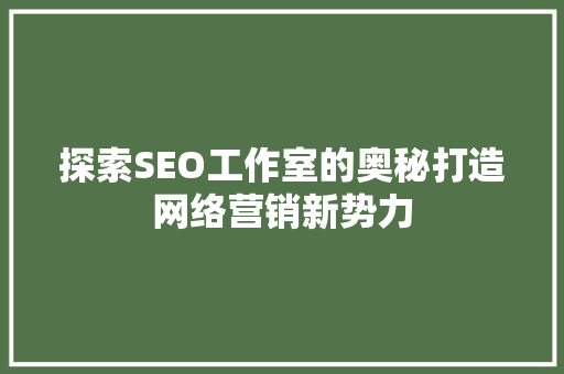 探索SEO工作室的奥秘打造网络营销新势力
