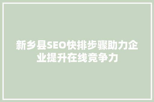 新乡县SEO快排步骤助力企业提升在线竞争力