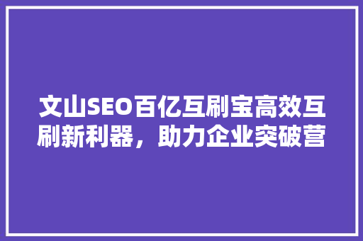 文山SEO百亿互刷宝高效互刷新利器，助力企业突破营销困境
