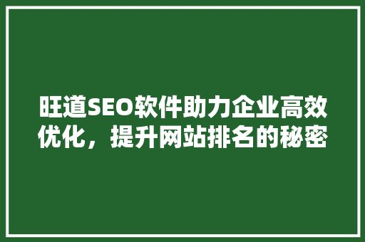 旺道SEO软件助力企业高效优化，提升网站排名的秘密武器