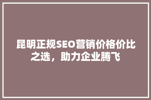 昆明正规SEO营销价格价比之选，助力企业腾飞