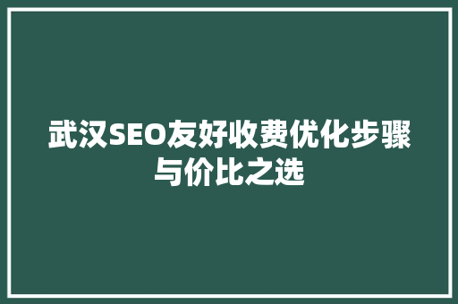 武汉SEO友好收费优化步骤与价比之选