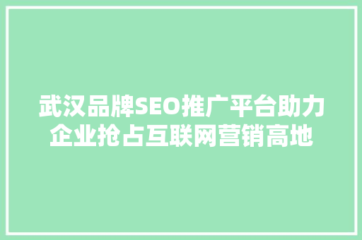 武汉品牌SEO推广平台助力企业抢占互联网营销高地