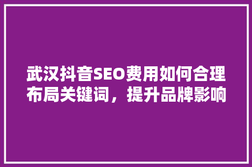 武汉抖音SEO费用如何合理布局关键词，提升品牌影响力
