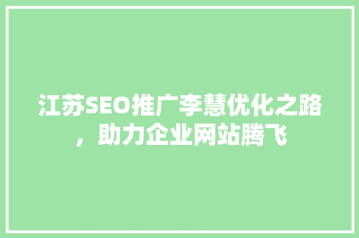 江苏SEO推广李慧优化之路，助力企业网站腾飞