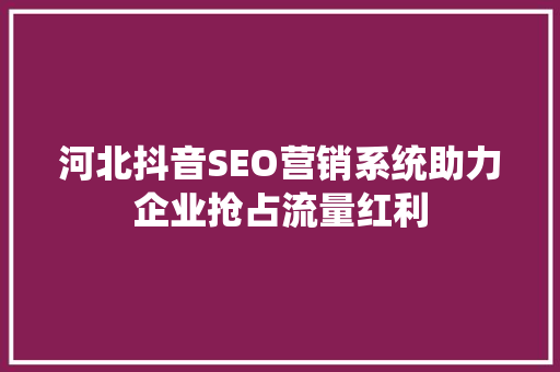 河北抖音SEO营销系统助力企业抢占流量红利