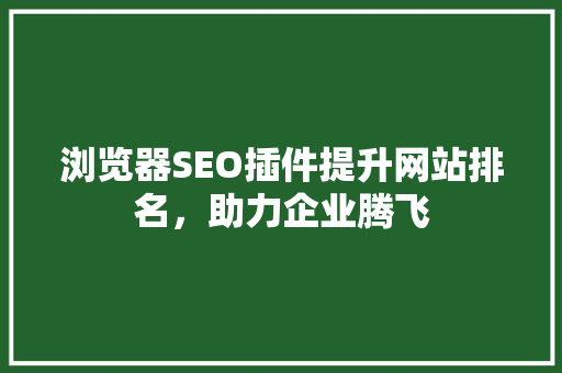 浏览器SEO插件提升网站排名，助力企业腾飞