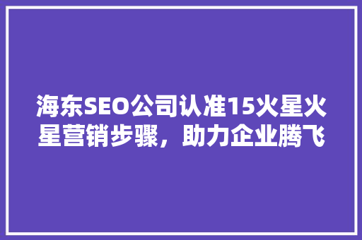 海东SEO公司认准15火星火星营销步骤，助力企业腾飞