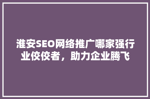 淮安SEO网络推广哪家强行业佼佼者，助力企业腾飞