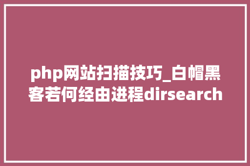 php网站扫描技巧_白帽黑客若何经由进程dirsearch脚本对象扫描和收集网站敏感文件