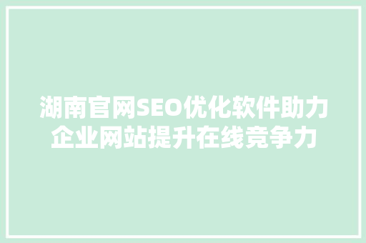 湖南官网SEO优化软件助力企业网站提升在线竞争力