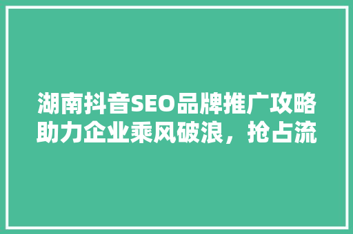 湖南抖音SEO品牌推广攻略助力企业乘风破浪，抢占流量高地