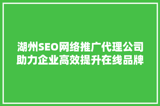 湖州SEO网络推广代理公司助力企业高效提升在线品牌影响力