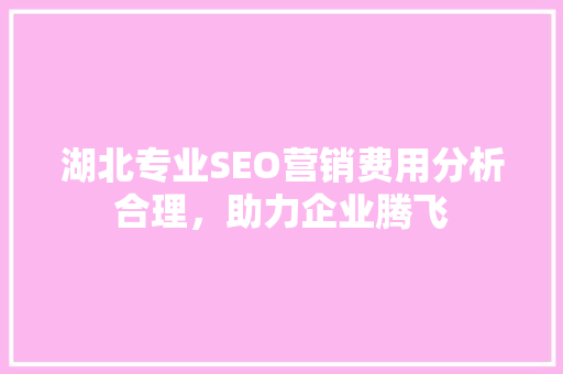 湖北专业SEO营销费用分析合理，助力企业腾飞