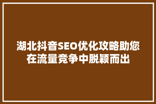 湖北抖音SEO优化攻略助您在流量竞争中脱颖而出