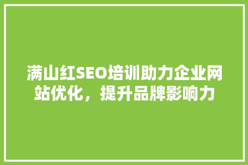 满山红SEO培训助力企业网站优化，提升品牌影响力