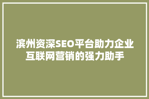 滨州资深SEO平台助力企业互联网营销的强力助手