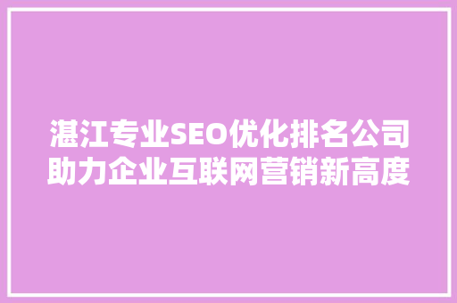 湛江专业SEO优化排名公司助力企业互联网营销新高度