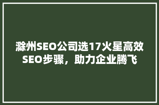 滁州SEO公司选17火星高效SEO步骤，助力企业腾飞