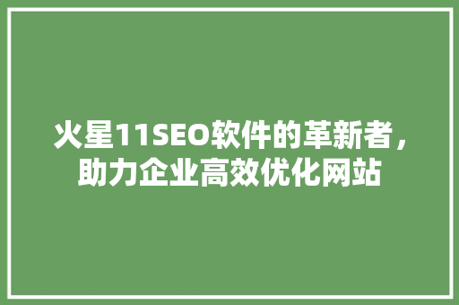 火星11SEO软件的革新者，助力企业高效优化网站