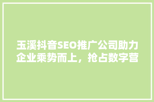 玉溪抖音SEO推广公司助力企业乘势而上，抢占数字营销高地