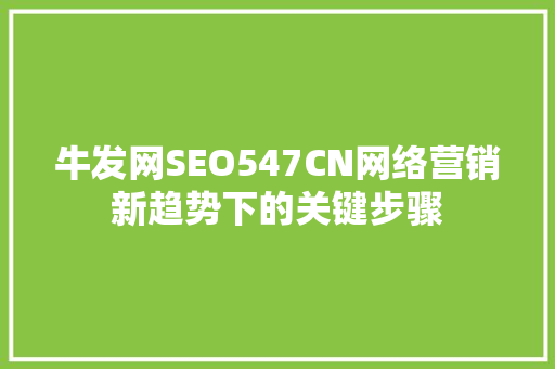 牛发网SEO547CN网络营销新趋势下的关键步骤