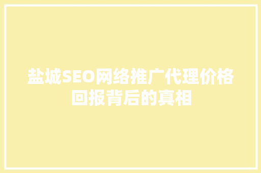 盐城SEO网络推广代理价格回报背后的真相