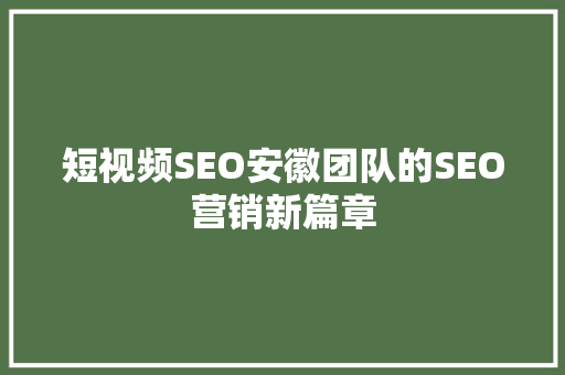 短视频SEO安徽团队的SEO营销新篇章