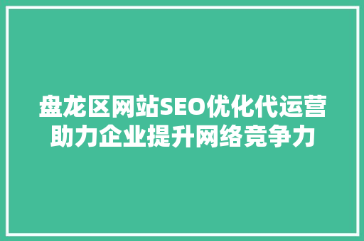 盘龙区网站SEO优化代运营助力企业提升网络竞争力