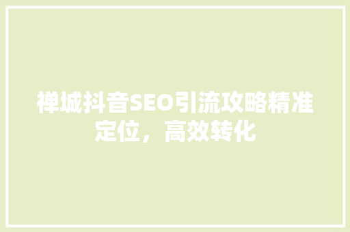 禅城抖音SEO引流攻略精准定位，高效转化