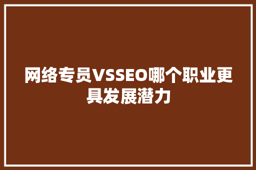 网络专员VSSEO哪个职业更具发展潜力